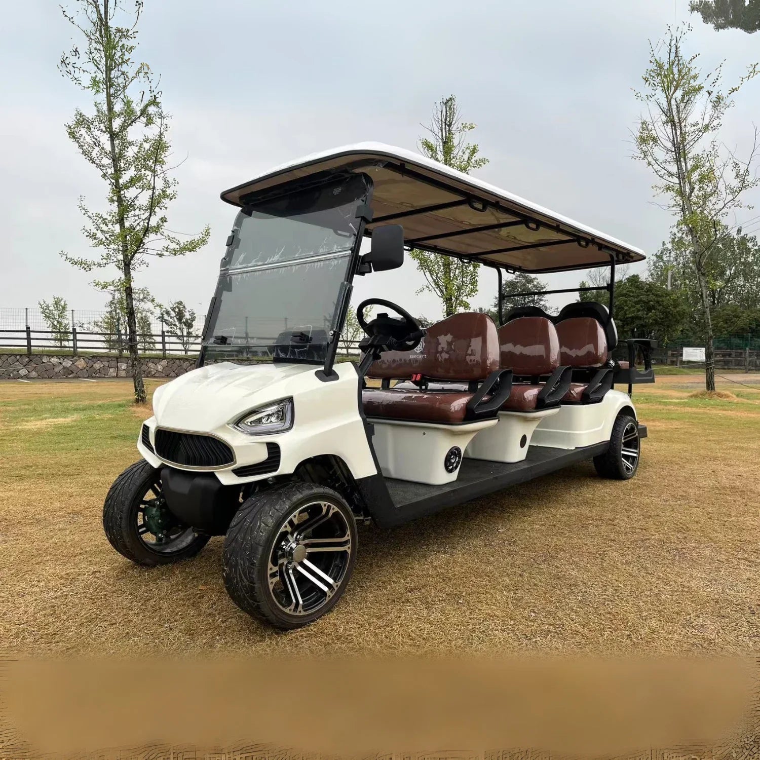 8-Seater On-Road Electric Golf Cart with Lithium Battery
