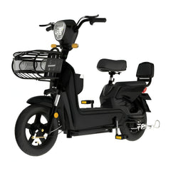 Electric Bike – Utility Cargo Scooter with 350W Motor and Dual-Seating