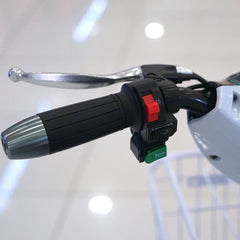 Scooter-Style Utility Electric Bike with 500W Motor and 48V Battery