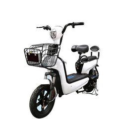 Electric Bike – Utility Cargo Scooter with 350W Motor and Dual-Seating