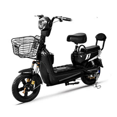 Electric Bike – Utility Cargo Scooter with 350W Motor and Dual-Seating