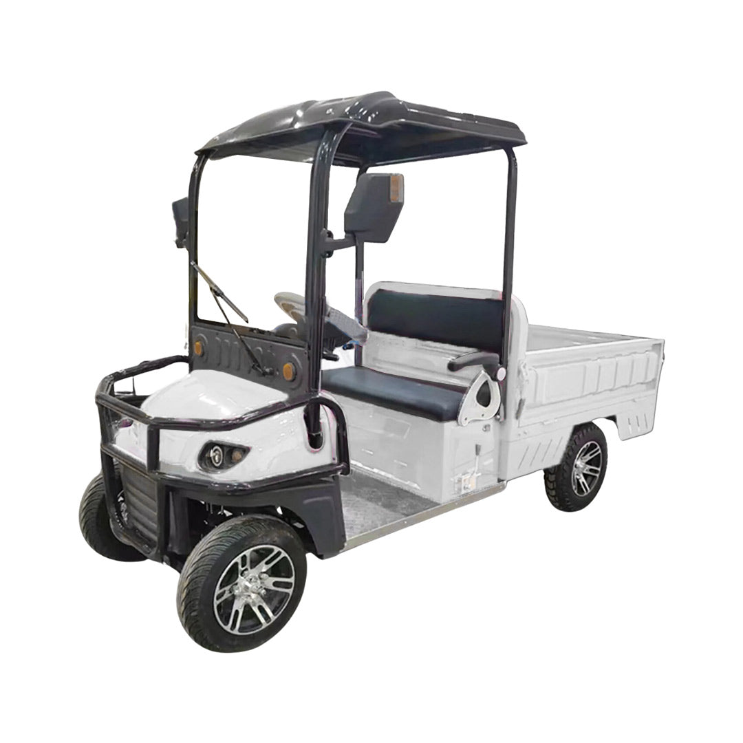 2-Seater Electric Utility Golf Cart with Long Cargo Box