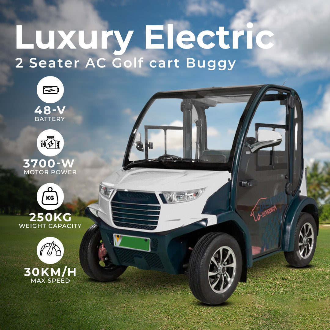 Luxury 2-Seater Electric Golf Cart with Air Conditioning