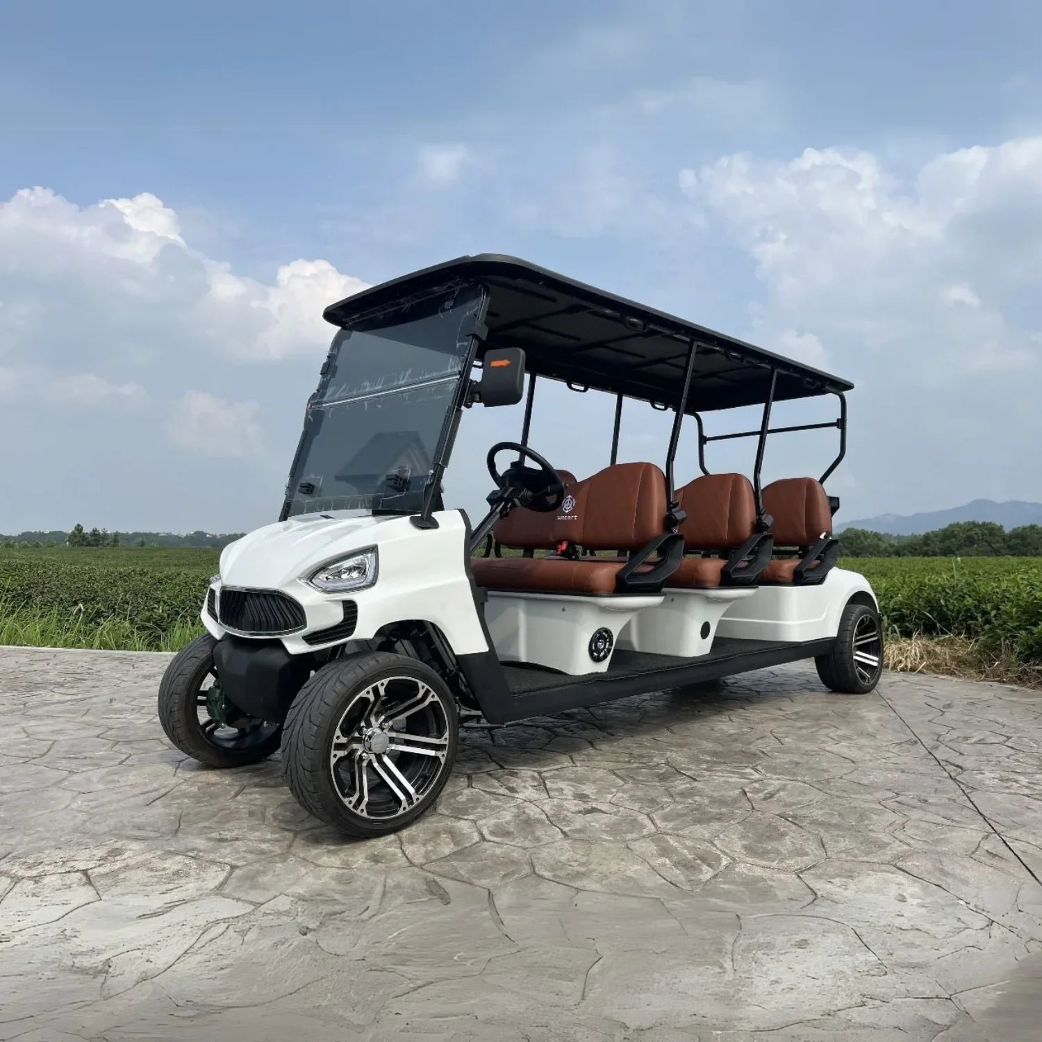 White golf cart with brown seats on a stone path with a scenic background