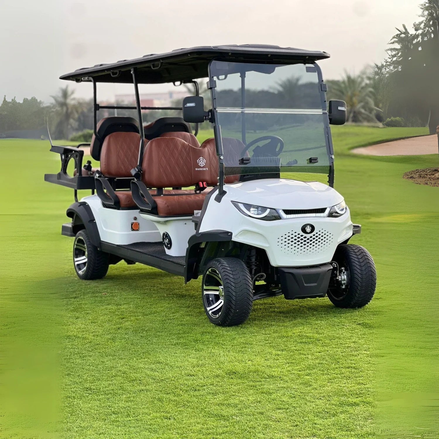 6-Seater On-Road Electric Golf Cart with Long-Range Lithium Battery