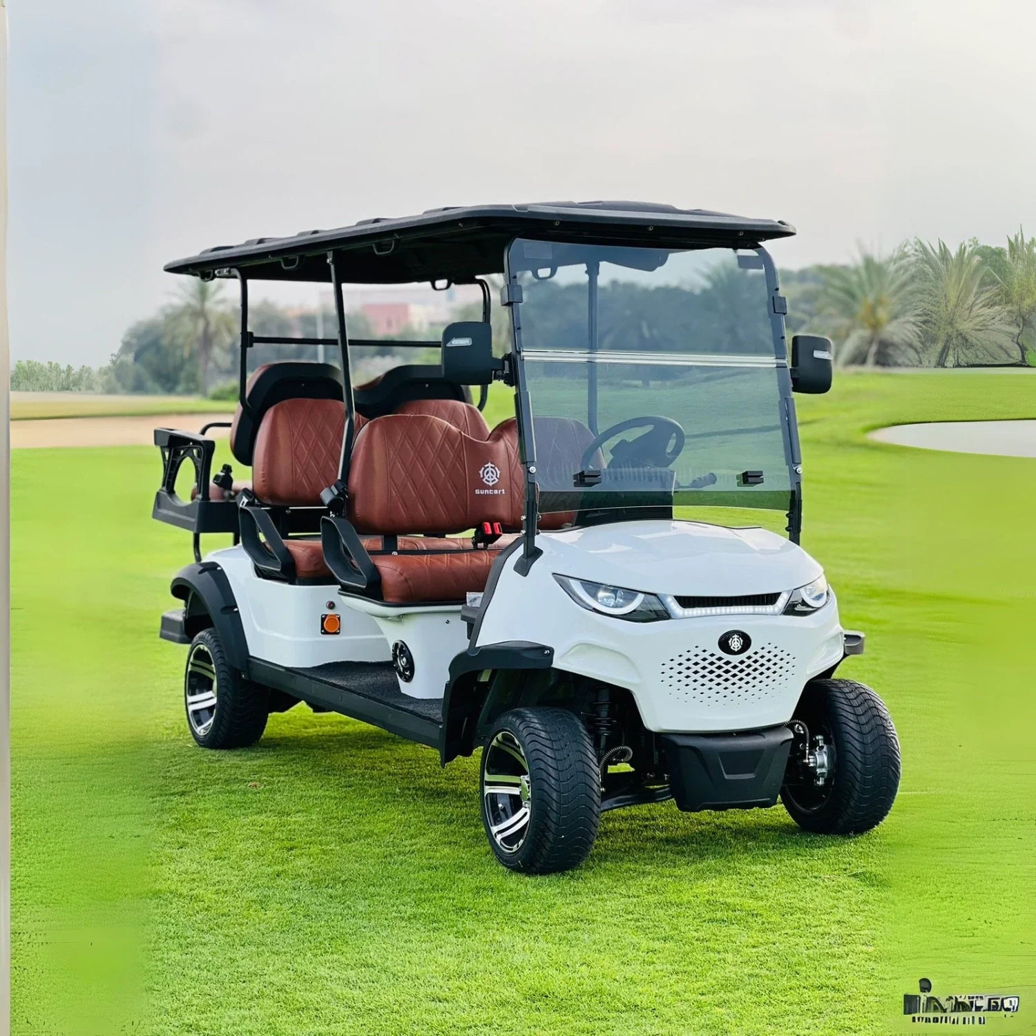 6-Seater On-Road Electric Golf Cart with Long-Range Lithium Battery
