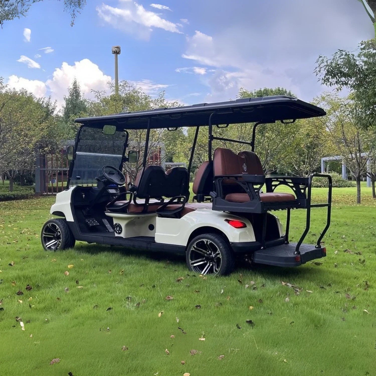 6-Seater On-Road Electric Golf Cart with Long-Range Lithium Battery