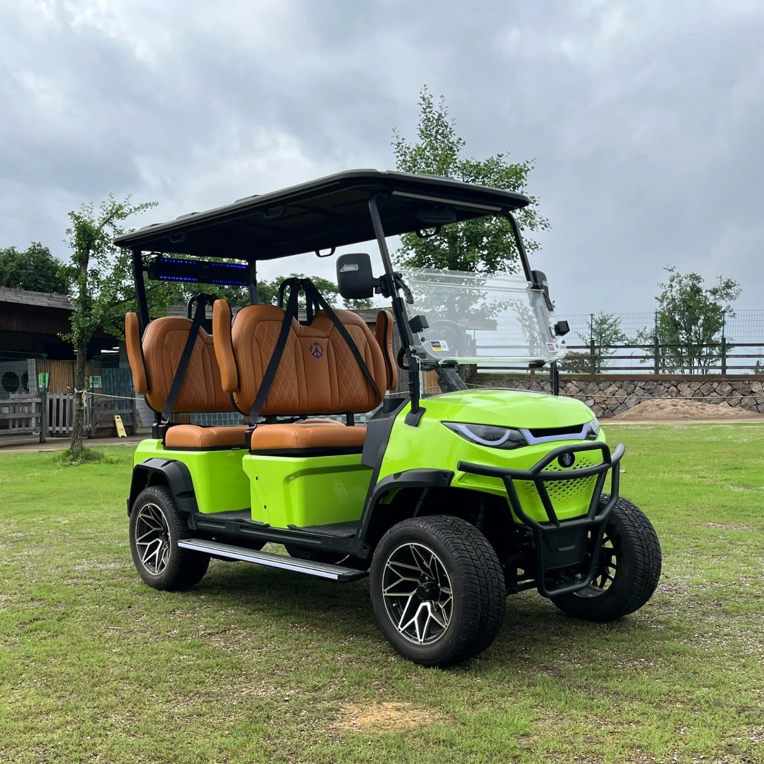 Lifted 4-Seater Off-Road Electric Golf Cart with AC Motor