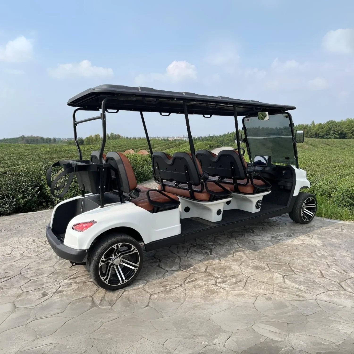 6-Seater On-Road Electric Golf Cart with Lithium Battery