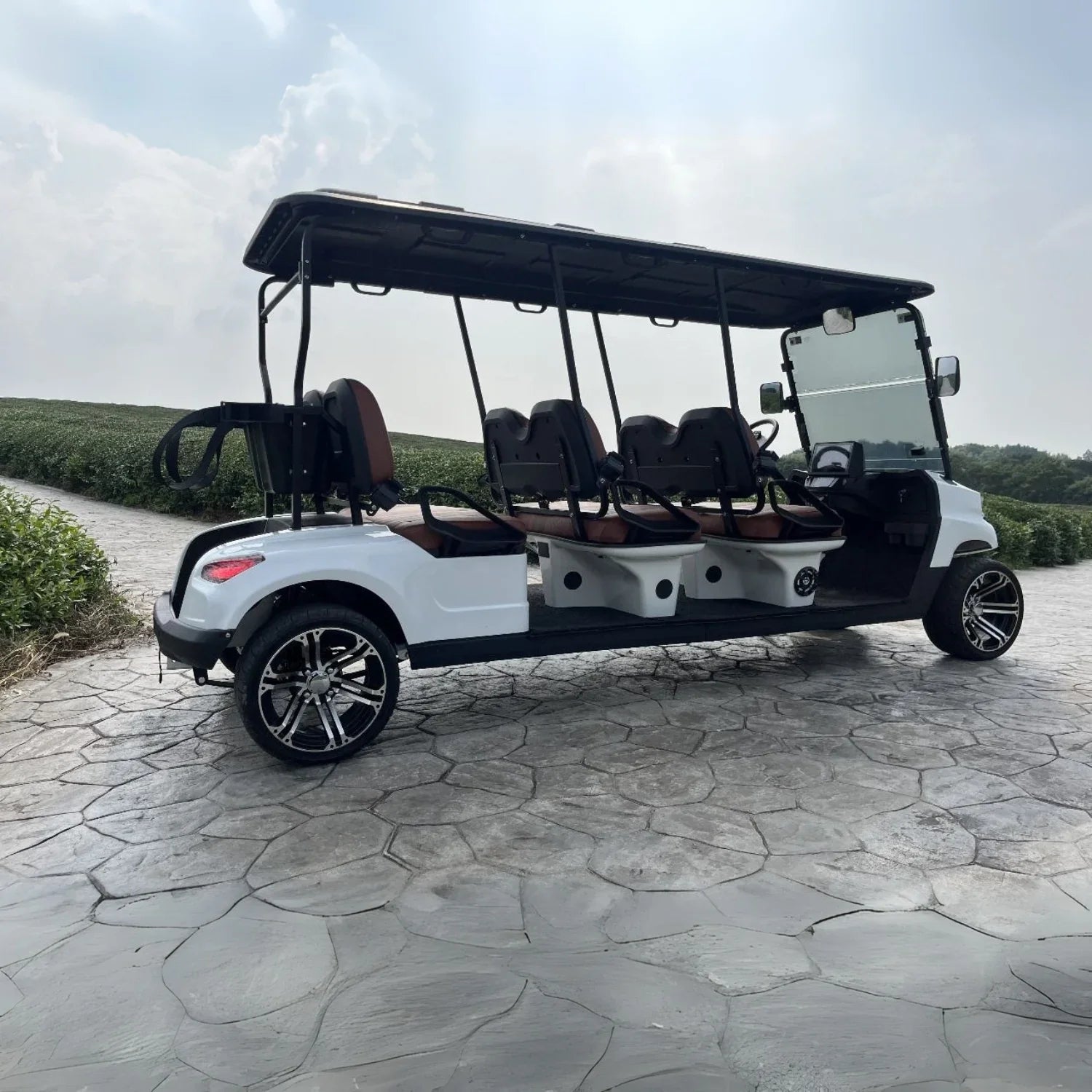 6-Seater On-Road Electric Golf Cart with Lithium Battery