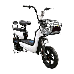 Electric Bike – Utility Cargo Scooter with 350W Motor and Dual-Seating