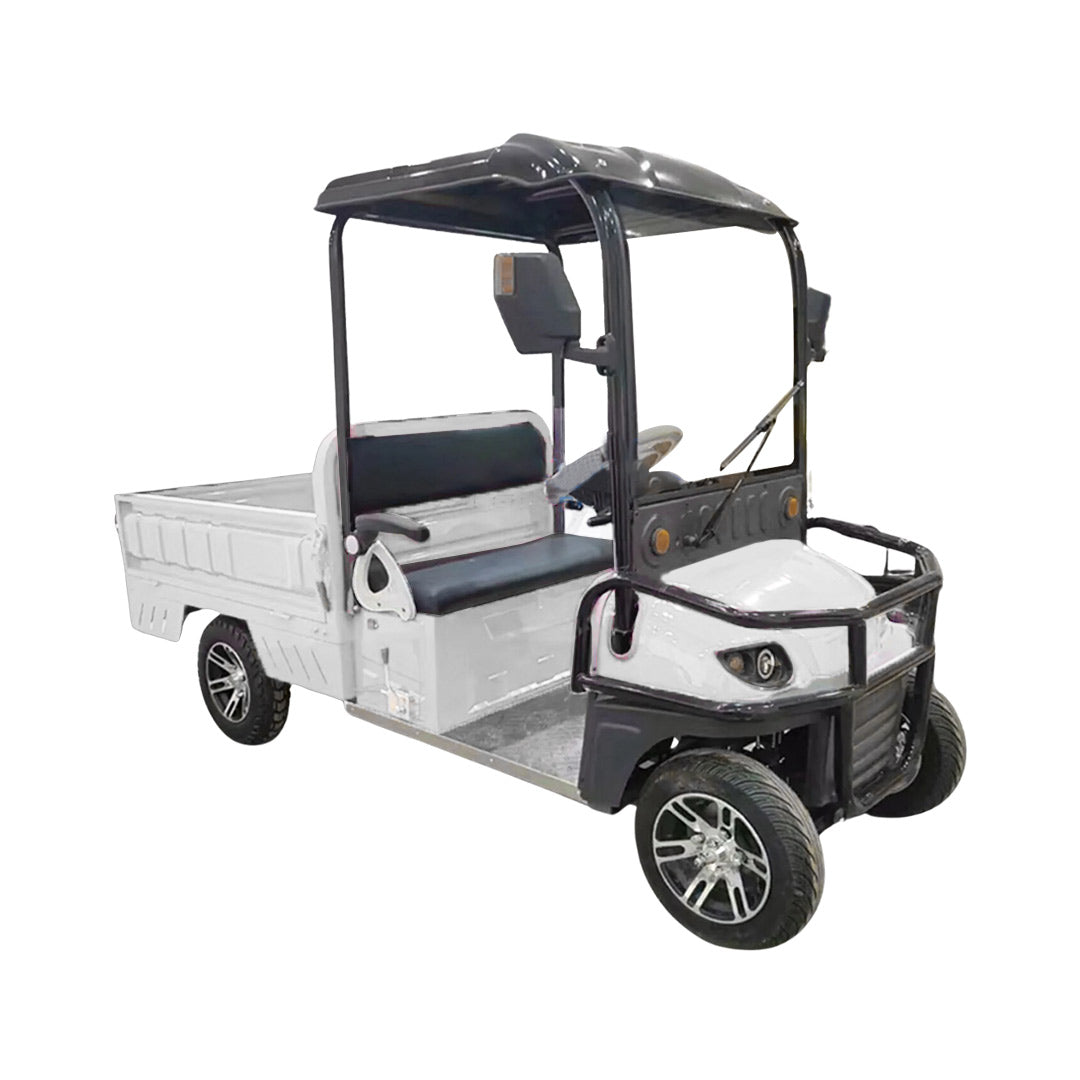 2-Seater Electric Utility Golf Cart with Long Cargo Box