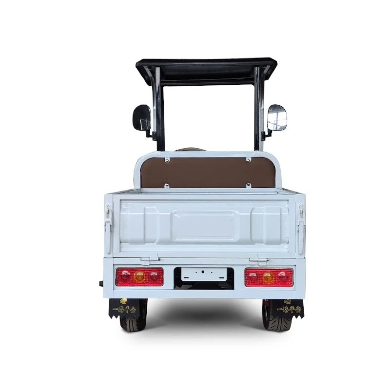 2-Seater Electric Utility Golf Cart with Long Cargo Box