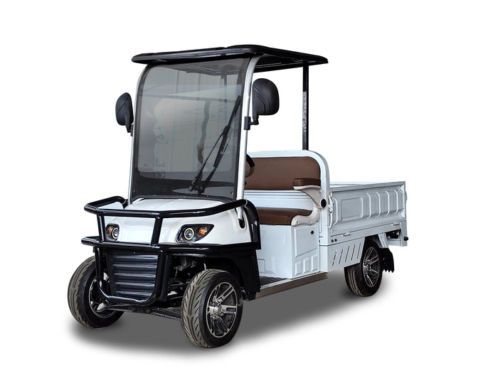 2-Seater Electric Utility Golf Cart with Long Cargo Box