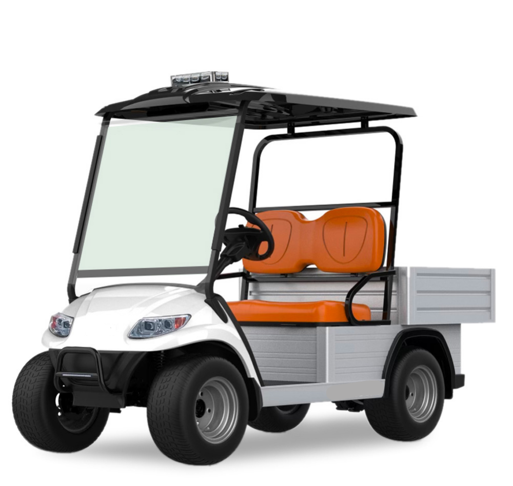 Electric 2-Seater Utility Golf Cart with Cargo Bed | 500 kg Capacity & 48V AC Drive