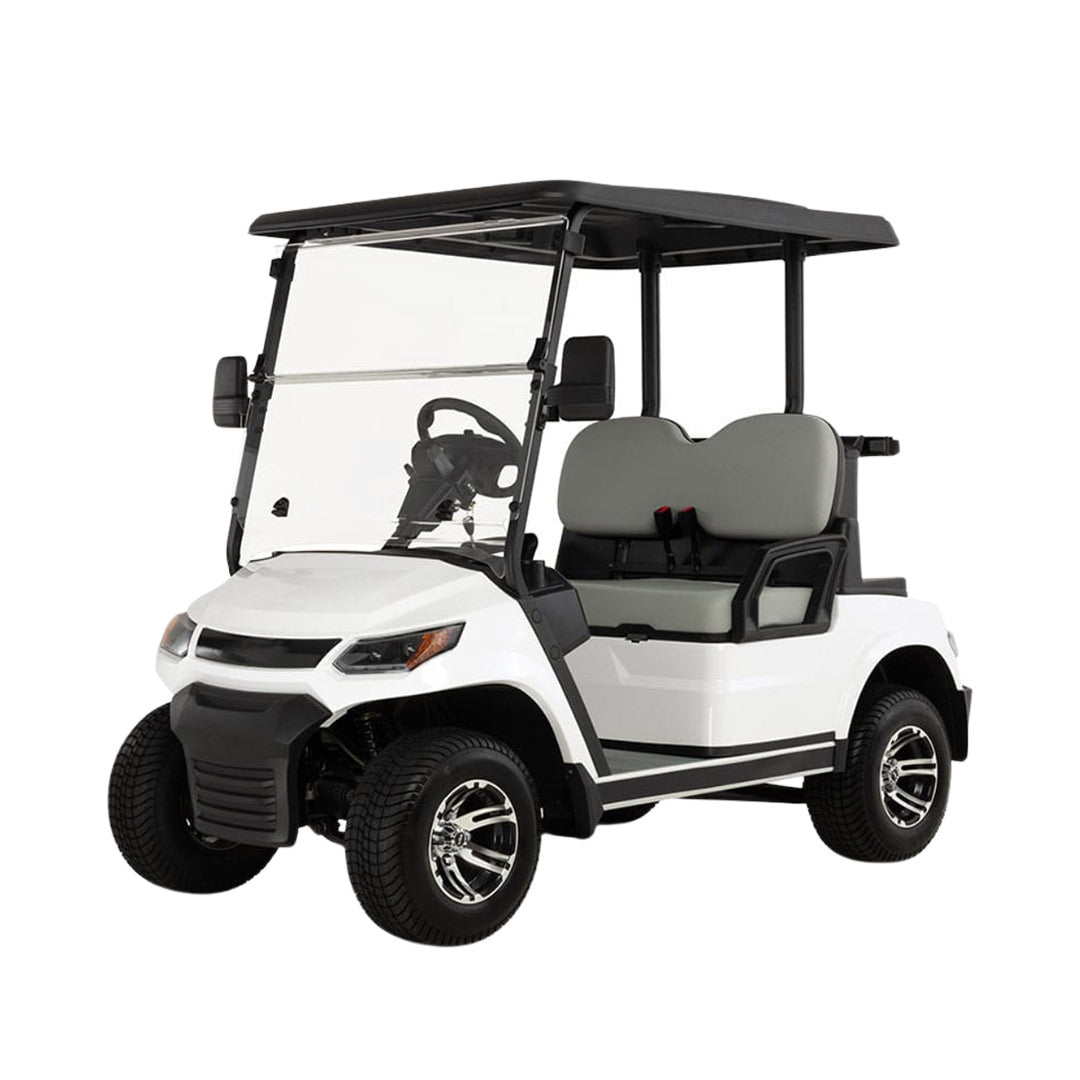 High-Performance 2-Seater Electric Golf Cart with 100km Range