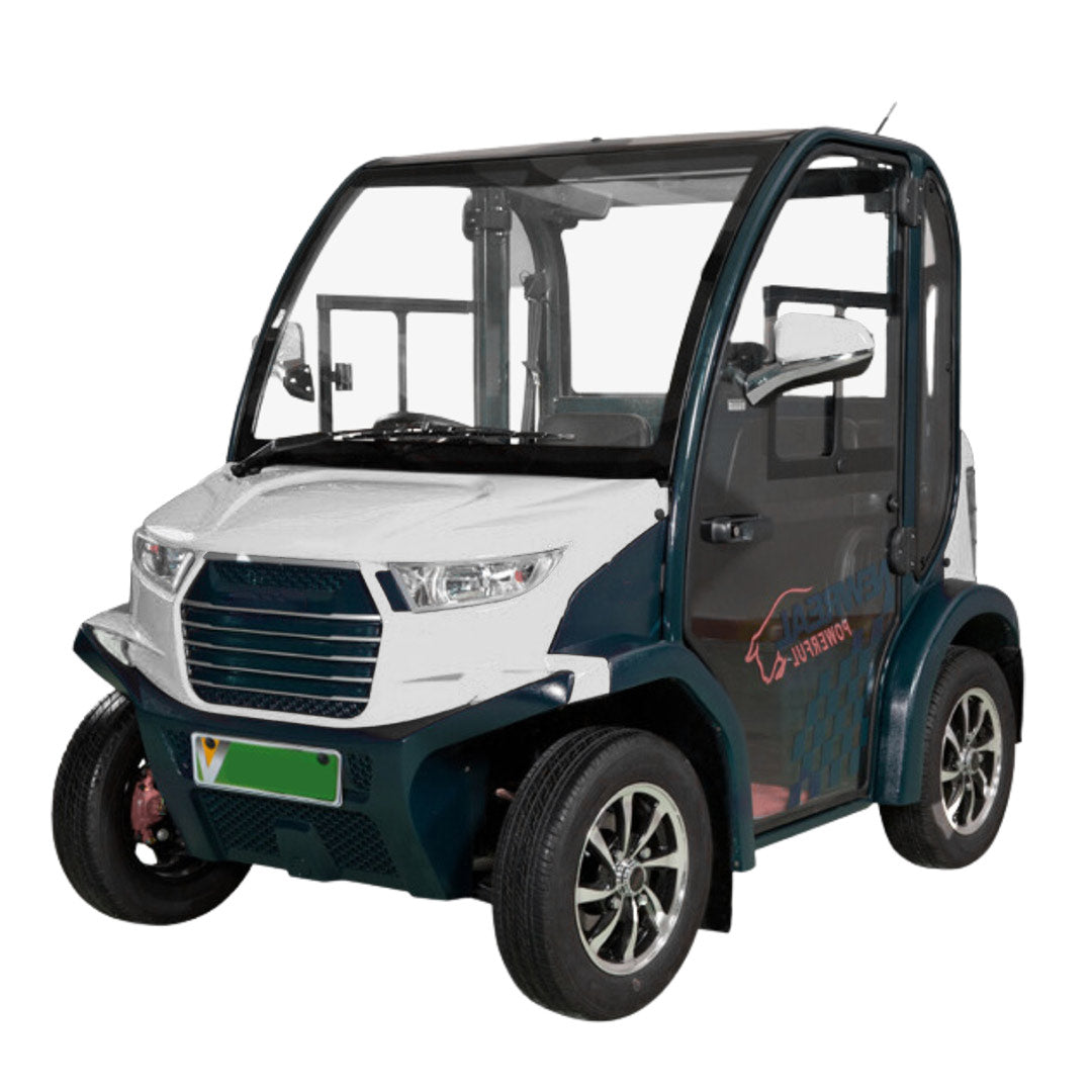 Luxury 2-Seater Electric Golf Cart with Air Conditioning
