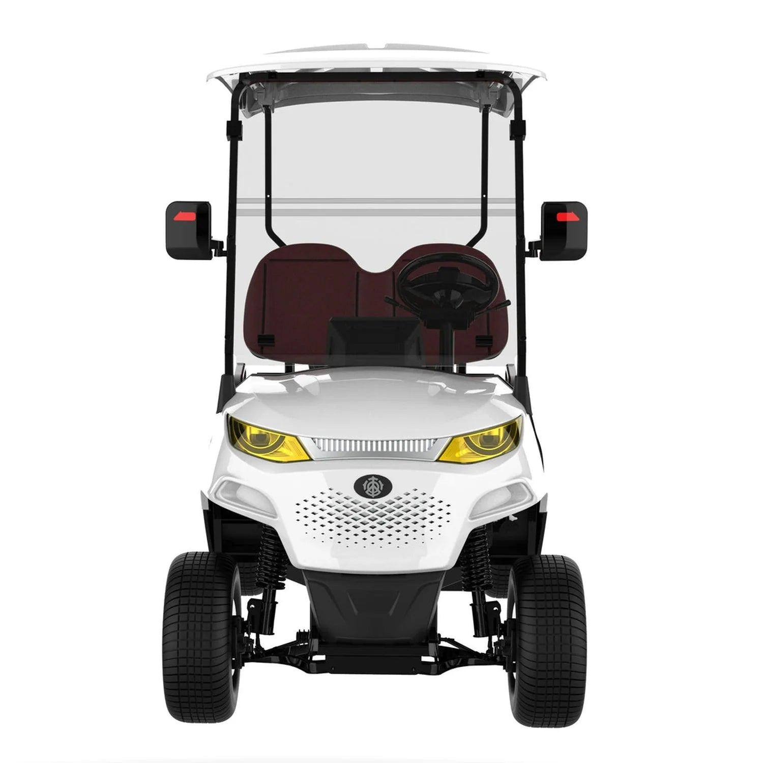 2-Seater Electric On-Road Golf Cart with 48V Lithium Battery
