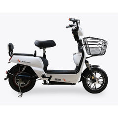 Electric Bike – Utility Cargo Scooter with 350W Motor and Dual-Seating