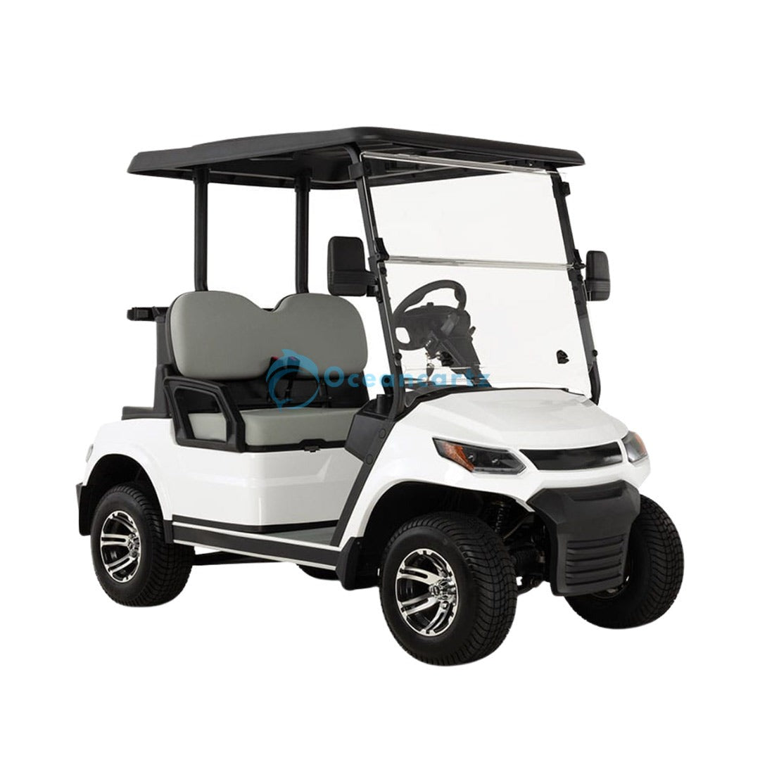 Oceancartz 2-Passenger 48V Electric Golf Cart with 4000W AC Asynchronous Motor and 100km Range - Normal Golf Carts - 2 Seater | Oceancartz