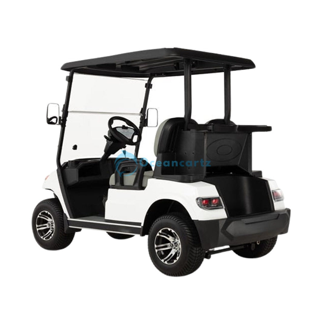 Oceancartz 2-Passenger 48V Electric Golf Cart with 4000W AC Asynchronous Motor and 100km Range - Normal Golf Carts - 2 Seater - Photo 4 | Oceancartz