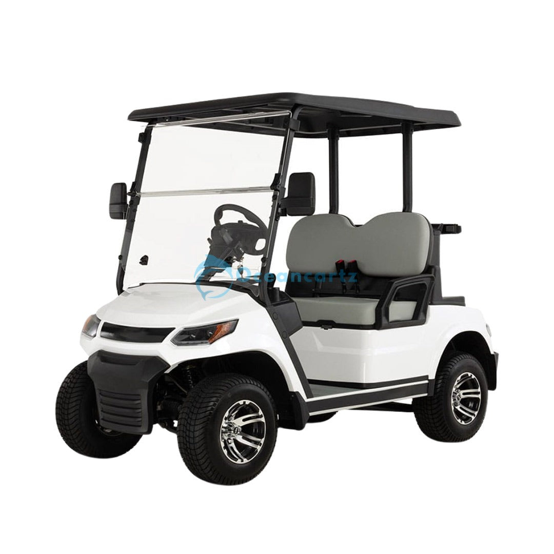 Oceancartz 2-Passenger 48V Electric Golf Cart with 4000W AC Asynchronous Motor and 100km Range - Normal Golf Carts - 2 Seater - Photo 5 | Oceancartz