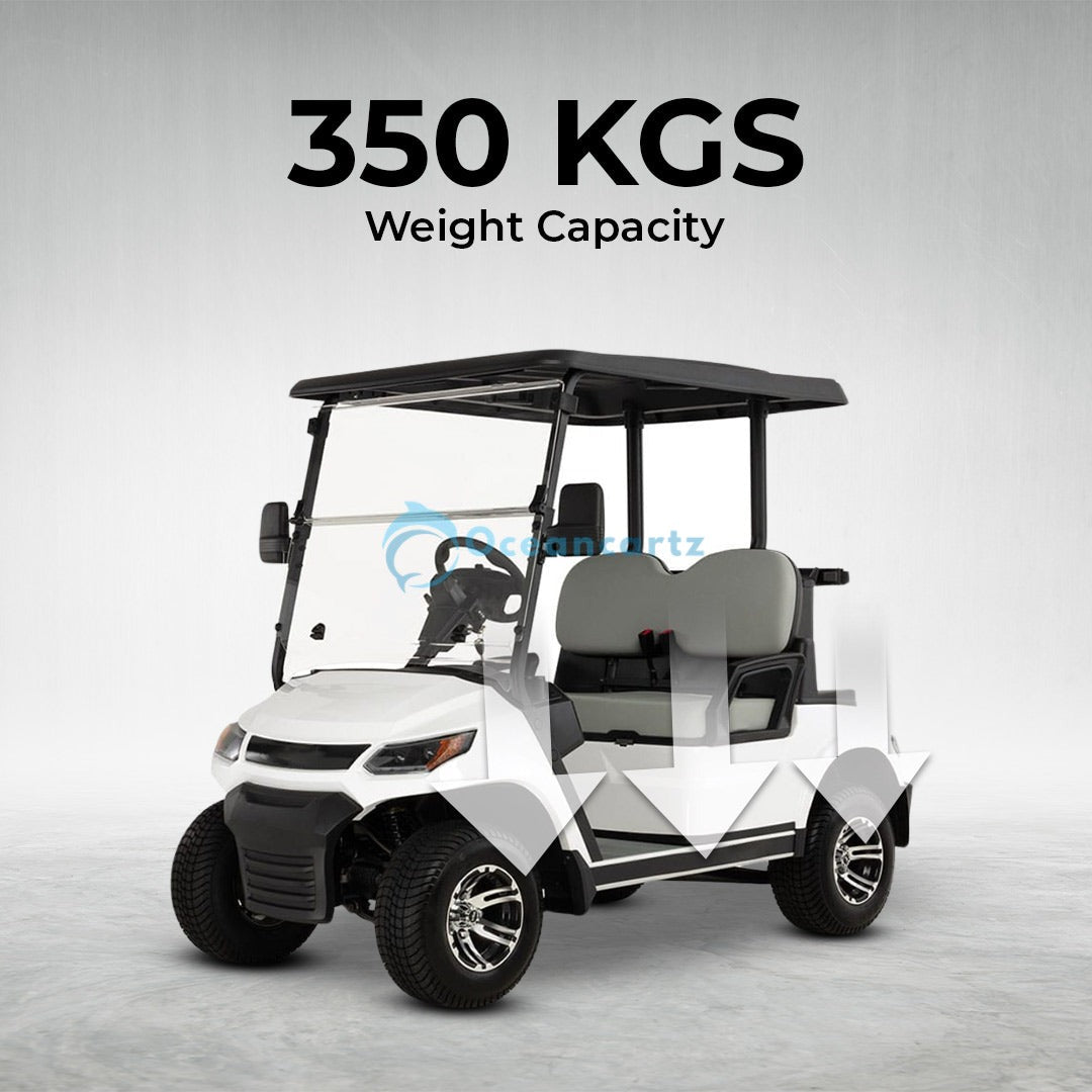 Oceancartz 2-Passenger 48V Electric Golf Cart with 4000W AC Asynchronous Motor and 100km Range - Normal Golf Carts - 2 Seater - Photo 6 | Oceancartz