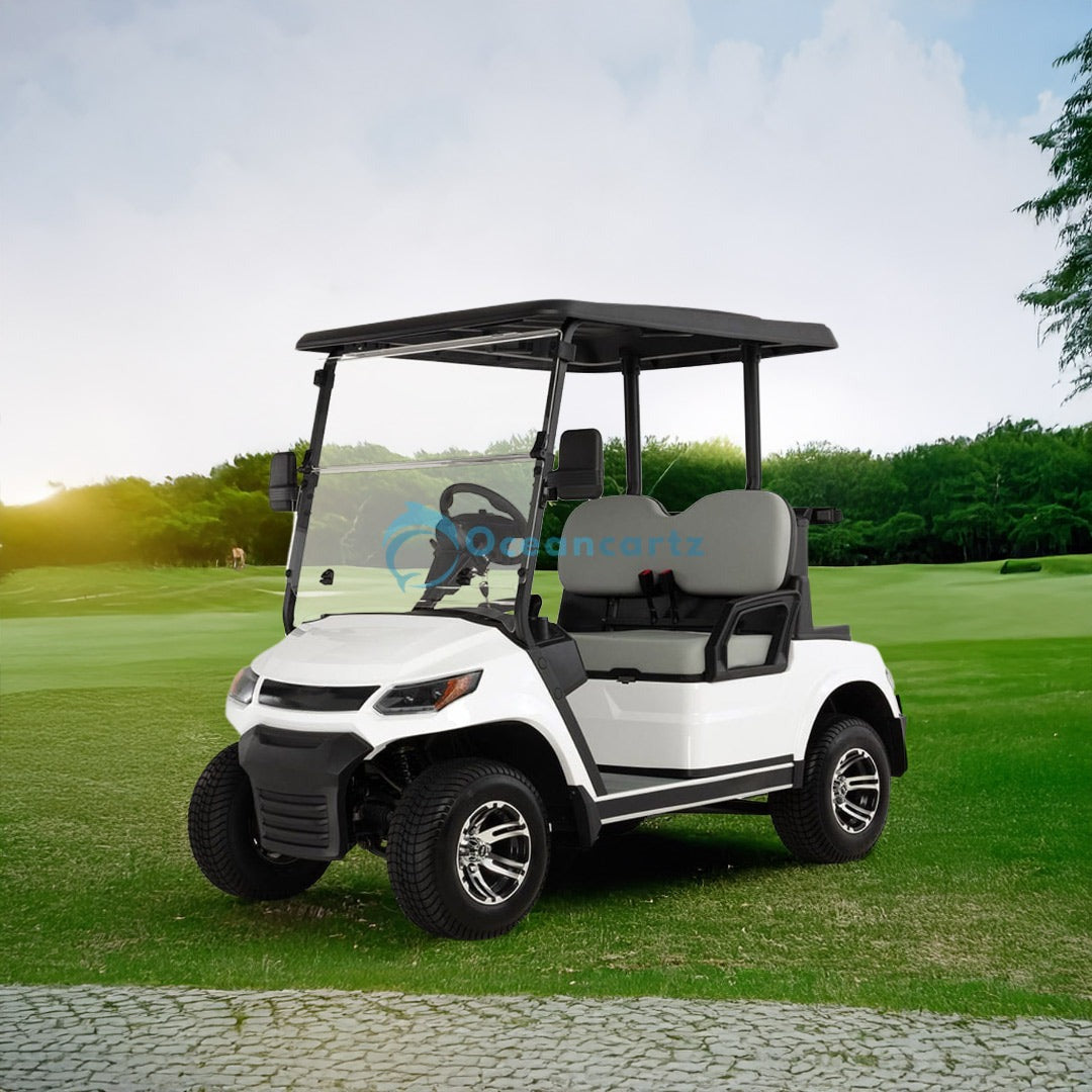 Oceancartz 2-Passenger 48V Electric Golf Cart with 4000W AC Asynchronous Motor and 100km Range - Normal Golf Carts - 2 Seater - Photo 7 | Oceancartz