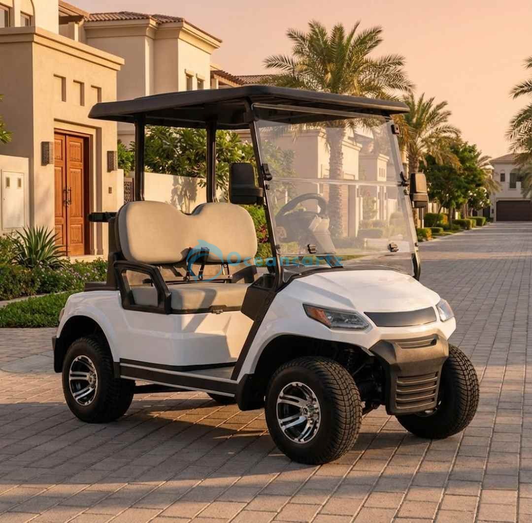 Buy Oceancartz 2-Passenger 48V Electric Golf Cart with 4000W AC Asynchronous Motor and 100km Range - Normal Golf Carts - 2 Seater at Oceancartz