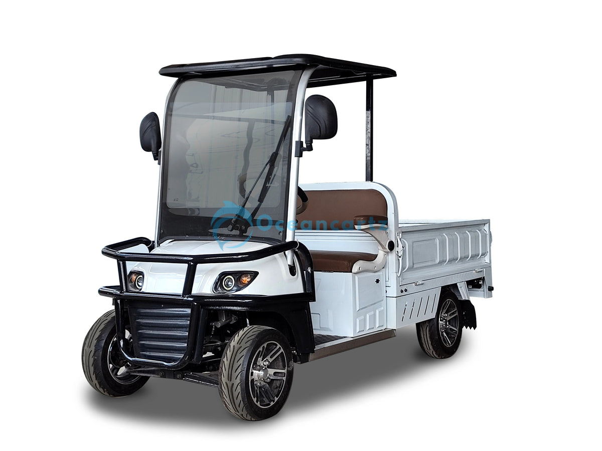 Oceancartz 2-Passenger 60V Electric Utility Golf Cart with 1500W Motor and Long Cargo Box - Utility Golf Carts - 2 Seater | Oceancartz