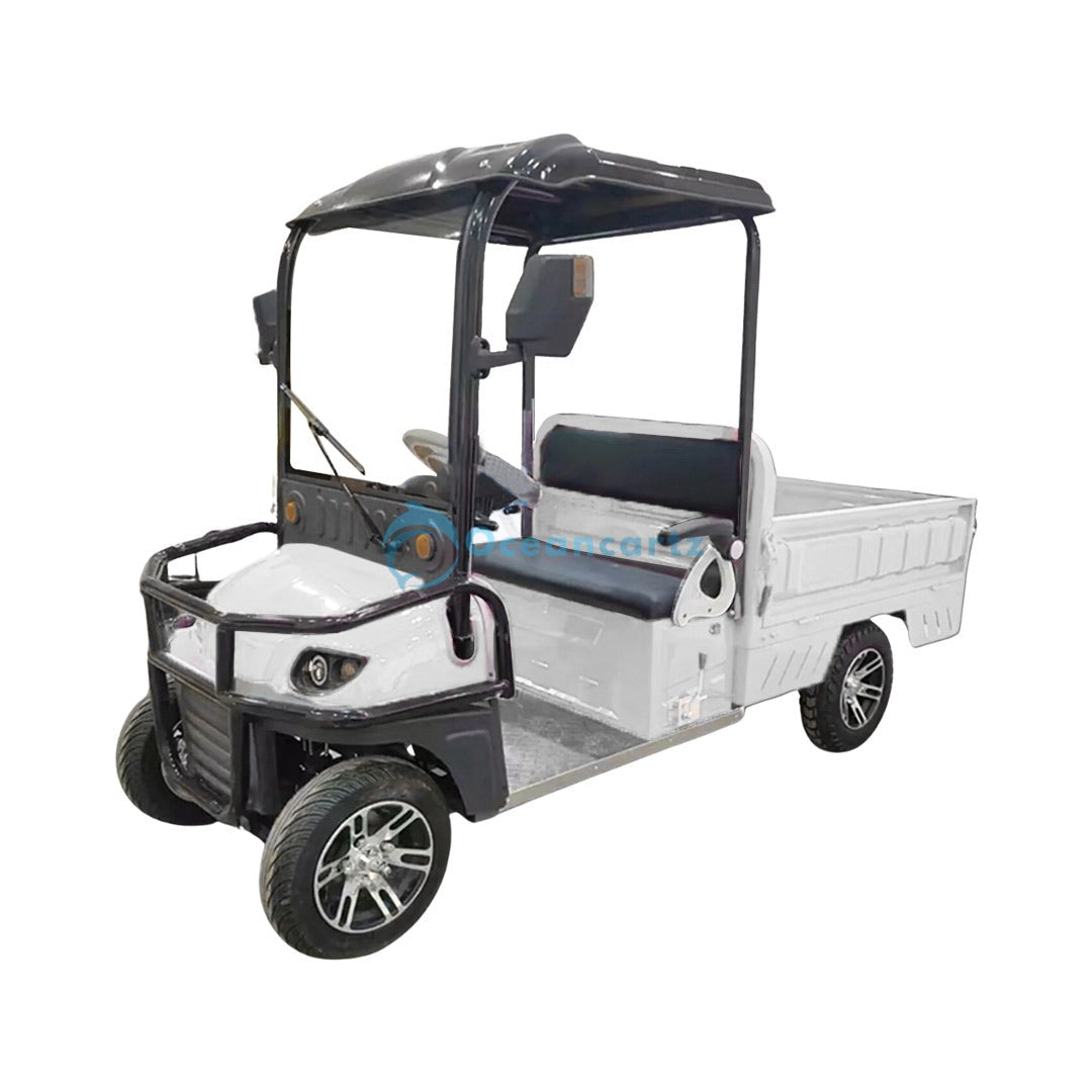 Oceancartz 2-Passenger 60V Electric Utility Golf Cart with 1500W Motor and Long Cargo Box - Utility Golf Carts - 2 Seater - Photo 13 | Oceancartz
