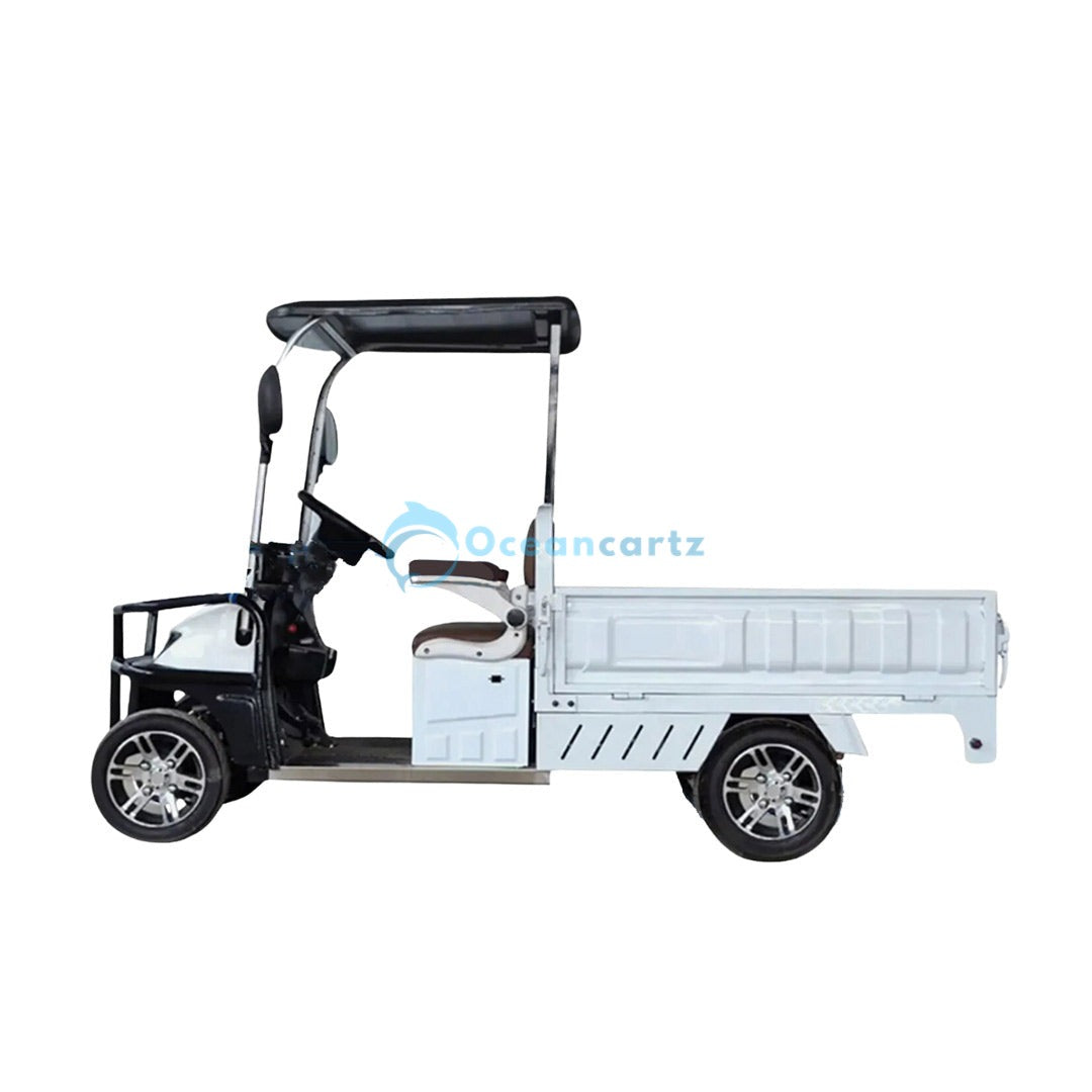 Oceancartz 2-Passenger 60V Electric Utility Golf Cart with 1500W Motor and Long Cargo Box - Utility Golf Carts - 2 Seater - Photo 10 | Oceancartz
