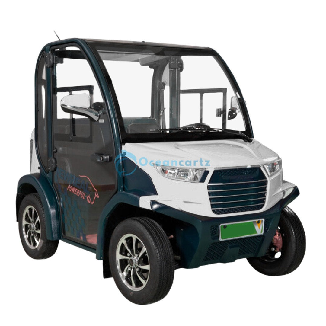 Oceancartz 2-Passenger Electric Golf Cart with Air Conditioning, 3.7 kW AC Motor, and 48V Battery - Air Conditioned Golf Carts - 2 Seater | Oceancartz