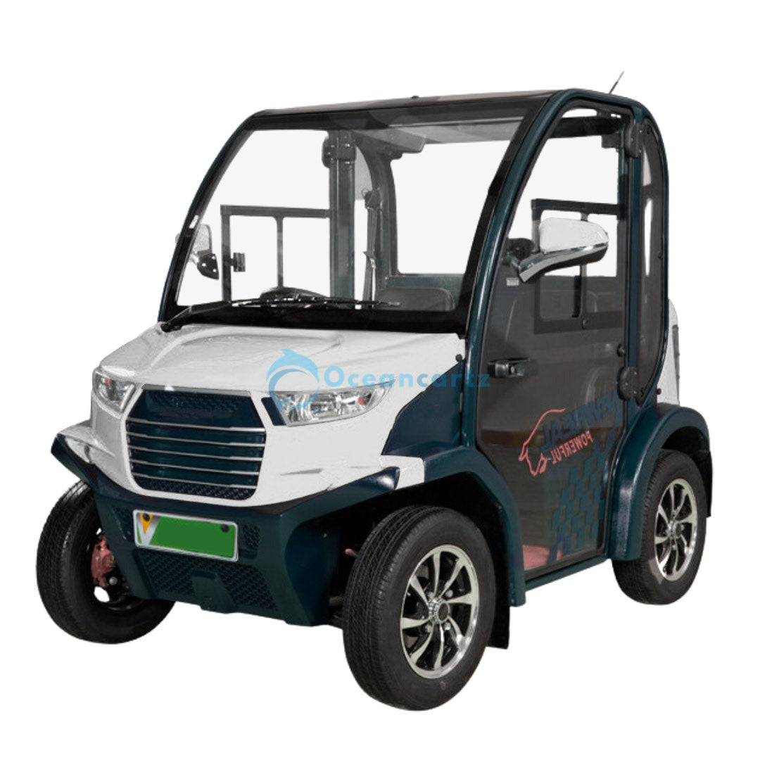 Oceancartz 2-Passenger Electric Golf Cart with Air Conditioning, 3.7 kW AC Motor, and 48V Battery - Air Conditioned Golf Carts - 2 Seater - Photo 6 | Oceancartz
