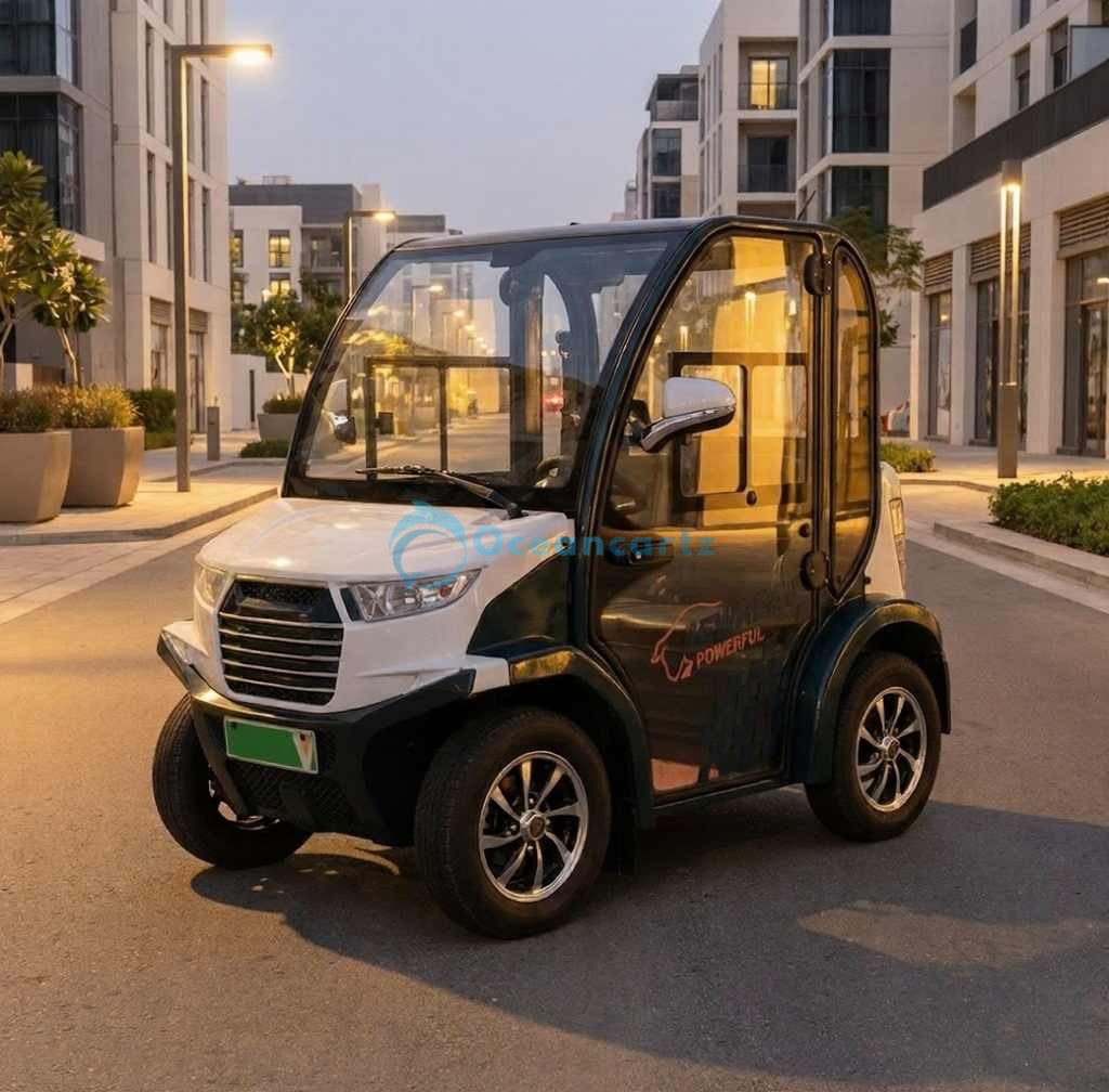 Buy Oceancartz 2-Passenger Electric Golf Cart with Air Conditioning, 3.7 kW AC Motor, and 48V Battery - Air Conditioned Golf Carts - 2 Seater at Oceancartz