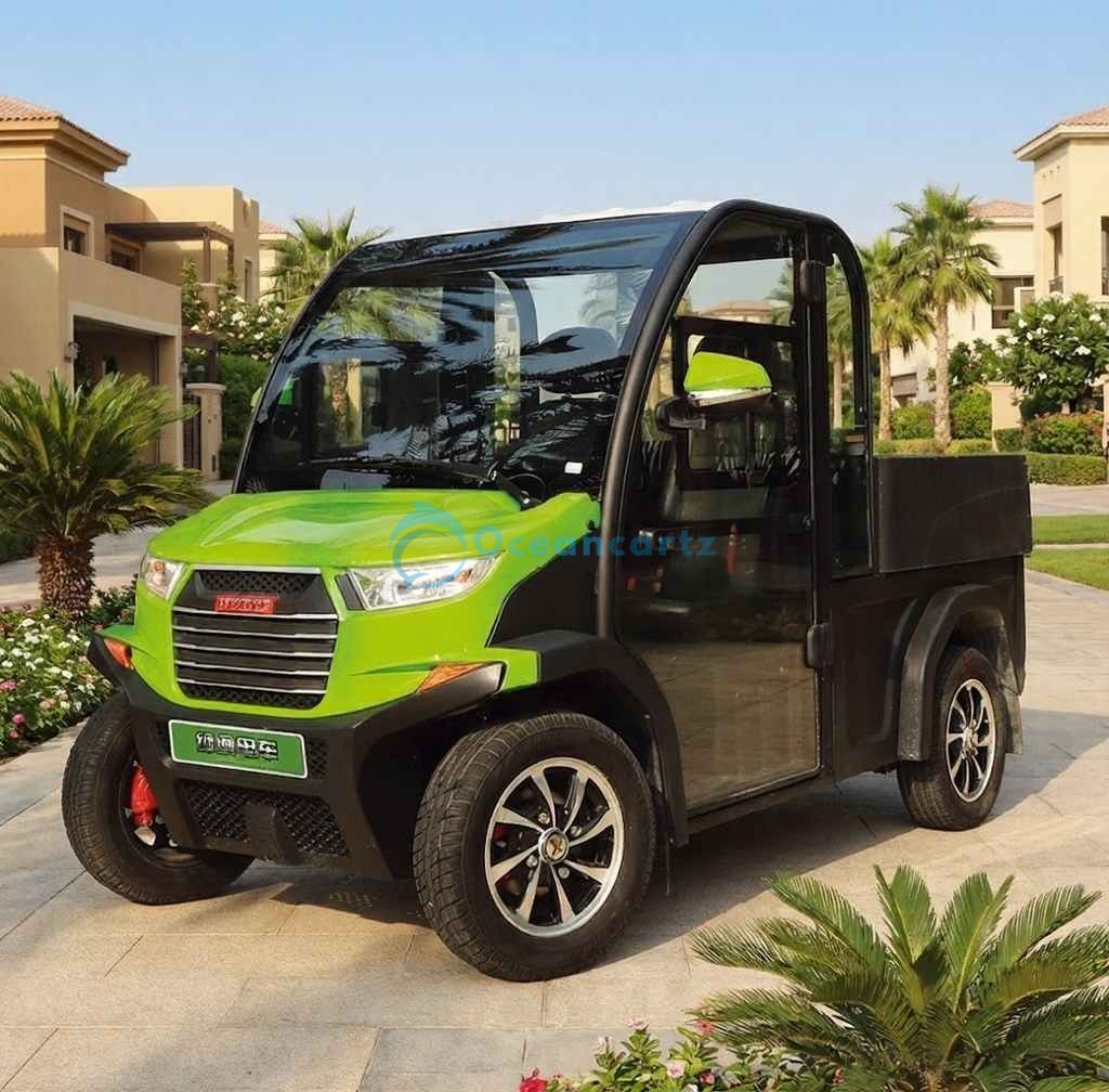 Buy Oceancartz 2-Passenger Electric Utility Golf Cart with Hydraulic Cargo Box, 3.7 kW DC Motor, and 48V Battery - Air Conditioned Golf Carts - 2 Seater at Oceancartz