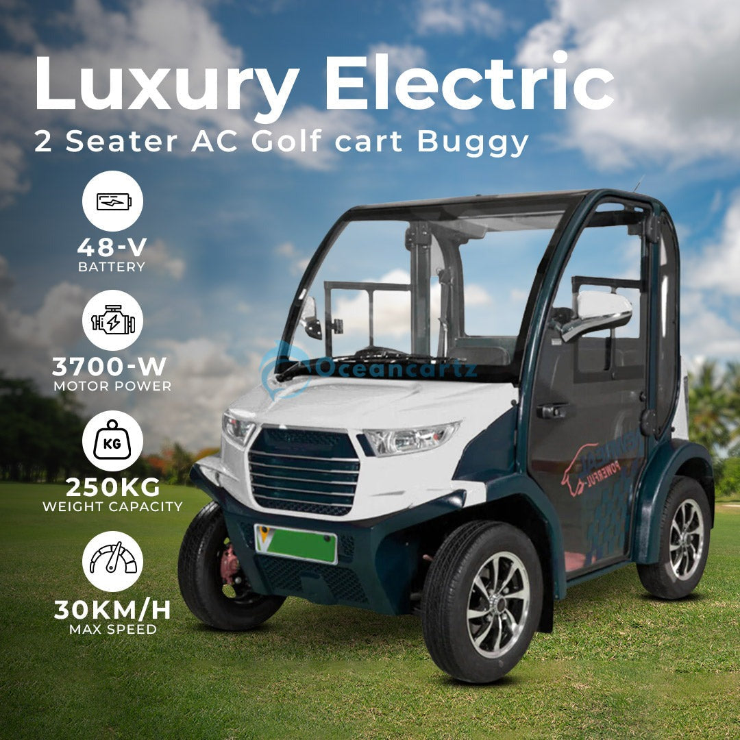 Oceancartz 2-Seater Electric Golf Cart with Air Conditioning and 3.7kW AC Motor - Air Conditioned Golf Carts - 2 Seater - Photo 4 | Oceancartz