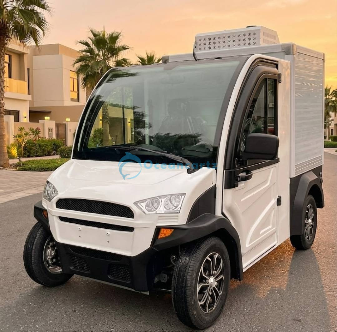 Buy Oceancartz 2-Seater Electric Utility Freezer Cart with -18°C Cooling and 600kg Payload Golf Cart - Pickup Trucks - 2 Seater at Oceancartz