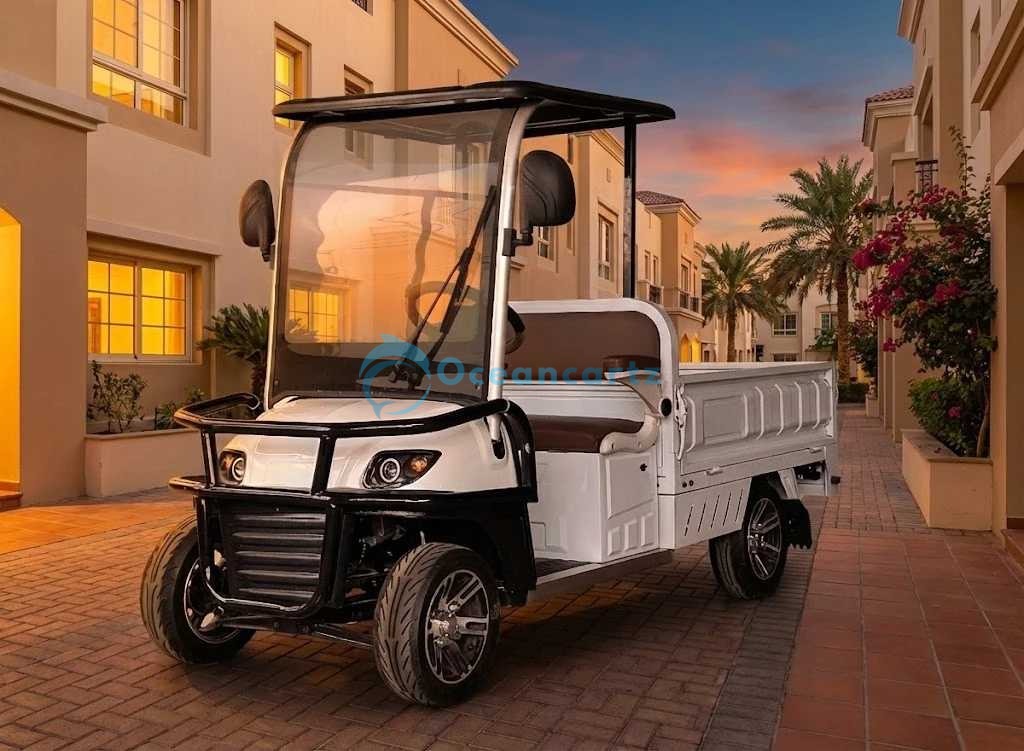 Buy Oceancartz 2-Seater Electric Utility Golf Cart with 1500W Motor and Extended Rear Cargo Box - Utility Golf Carts - 2 Seater at Oceancartz