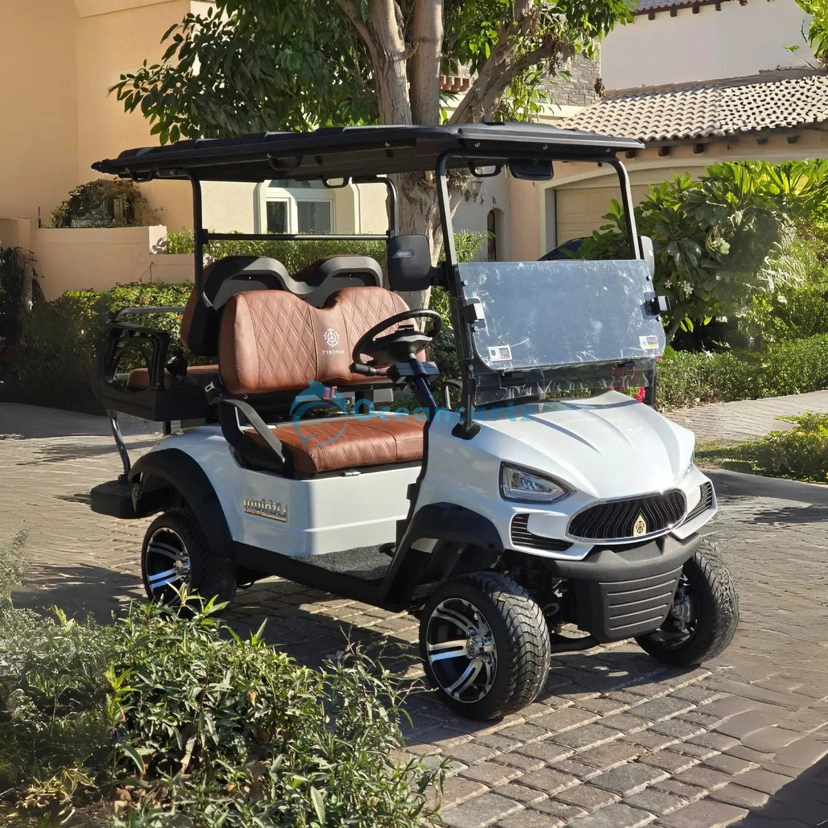 Buy Oceancartz 4-Seater (2+2) On-Road Golf Cart, 48V 5000W, 108Ah Lithium Battery, 100km Range, 3-5h Charging, 12" Alloy Wheels, 215/35-12 Street Tires - Normal Golf Carts - 2+2 Seater at Oceancartz