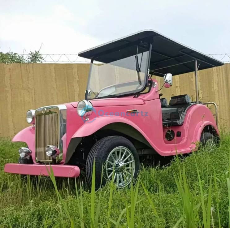Oceancartz 4-Seater 48V Classic Style Electric Golf Cart with 100km Range - Classic Golf Carts - 2+2 Seater - Photo 4 | Oceancartz