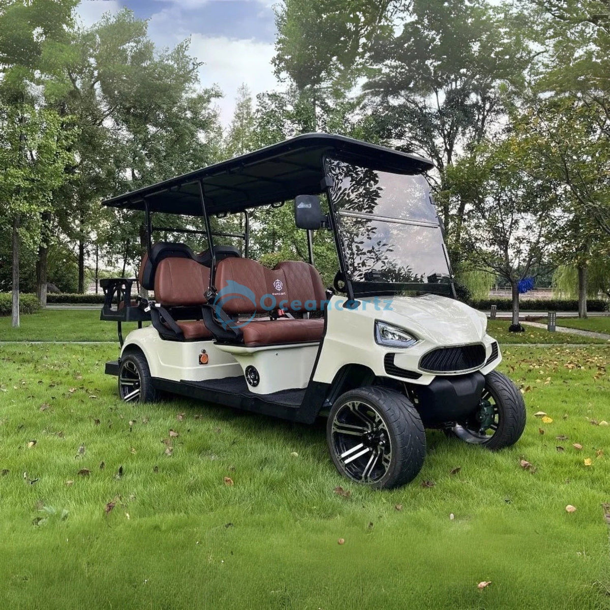 Buy Oceancartz 6-Seater (4+2) On-Road Electric Golf Cart, 48V 5000W Motor, 130Ah Lithium Battery, 100km Driving Range, 12-Inch Alloy Rims, 215/35-12 Street Tires, Integrated Camera System - Normal Golf Carts - 4+2 Seater at Oceancartz