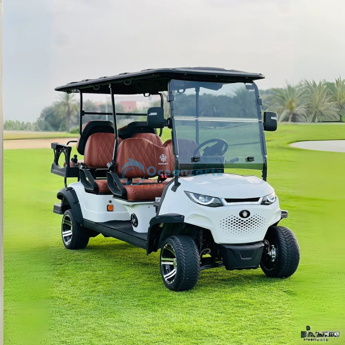 Buy Oceancartz 6-Seater (4+2) On-Road Electric Golf Cart, 48V 5000W Motor, 130Ah Lithium Battery, 12-Inch Alloy Rims, 215/35-12 Street Tires, 100km Range - Normal Golf Carts - 4+2 Seater at Oceancartz