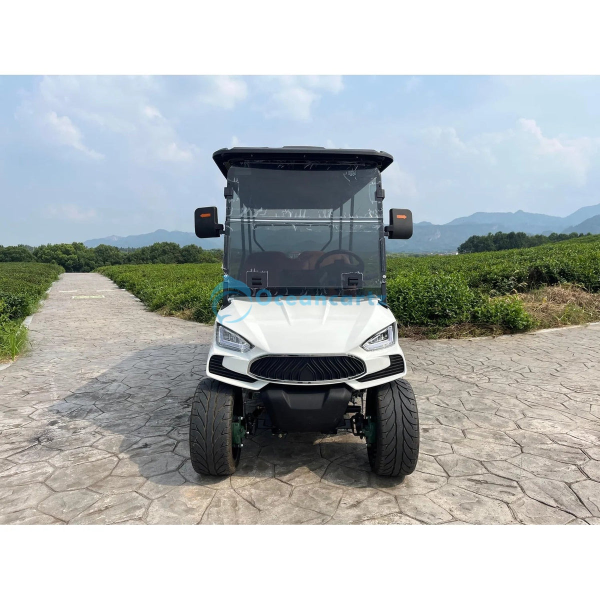 Oceancartz 6-Seater On-Road Electric Golf Cart, 48V 5000W Motor, 130Ah Lithium Battery, 12-Inch Alloy Wheels, 215/35-12 Street Tires, 4-Wheel Hydraulic Brakes - Normal Golf Carts - 6 Seater - Photo 6 | Oceancartz