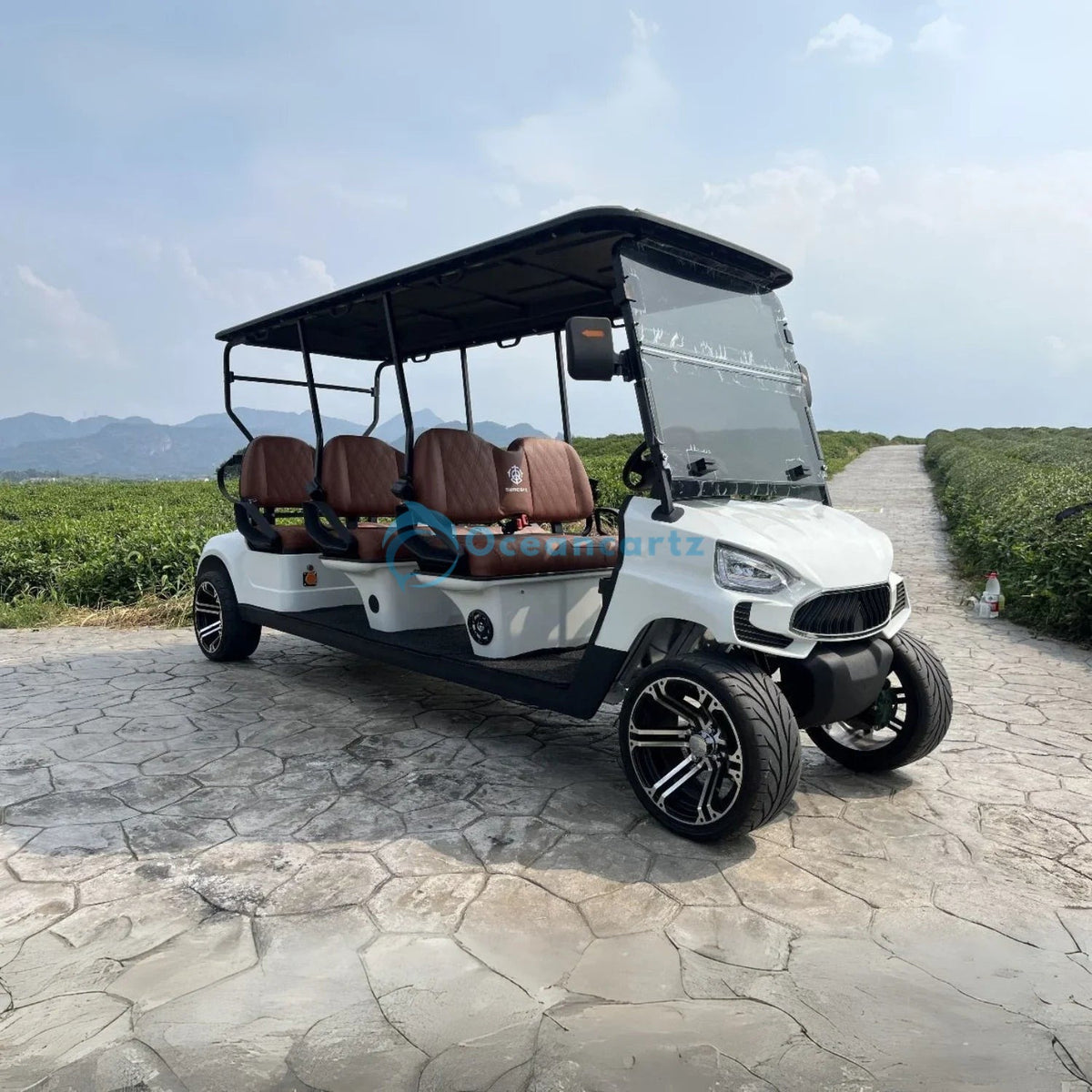 Buy Oceancartz 6-Seater On-Road Electric Golf Cart, 48V 5000W Motor, 130Ah Lithium Battery, 12-Inch Alloy Wheels, 215/35-12 Street Tires, 4-Wheel Hydraulic Brakes - Normal Golf Carts - 6 Seater at Oceancartz