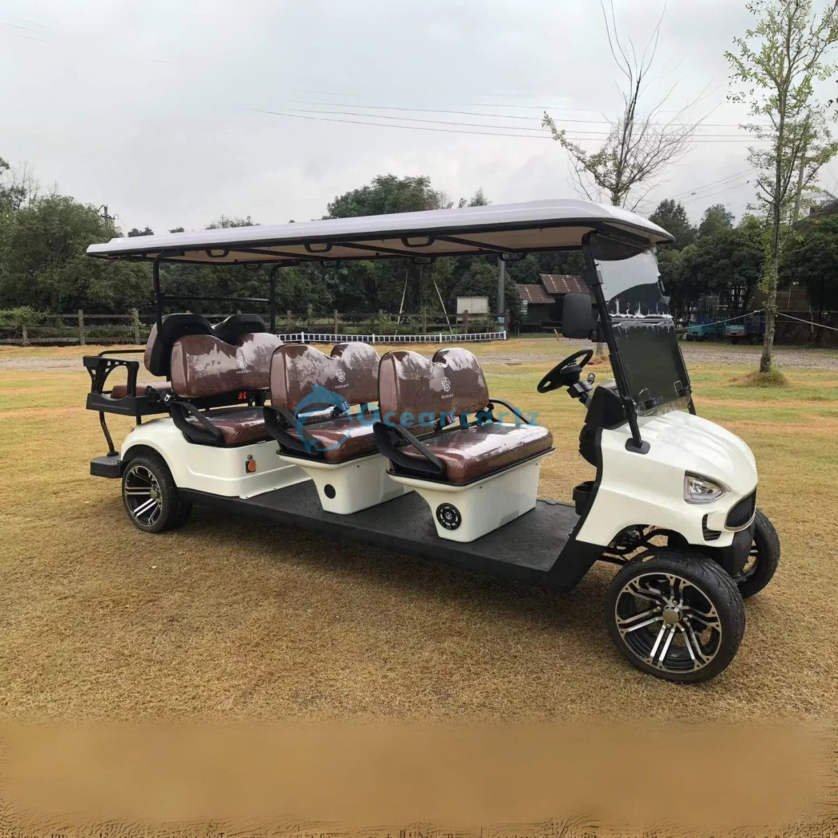 Oceancartz 8-Seater (6+2) On-Road Electric Golf Cart, 48V 5000W Motor, 130Ah Lithium Battery, 12-Inch Alloy Wheels, 215/35-12 Street Tires - Normal Golf Carts - 6+2 Seater | Oceancartz