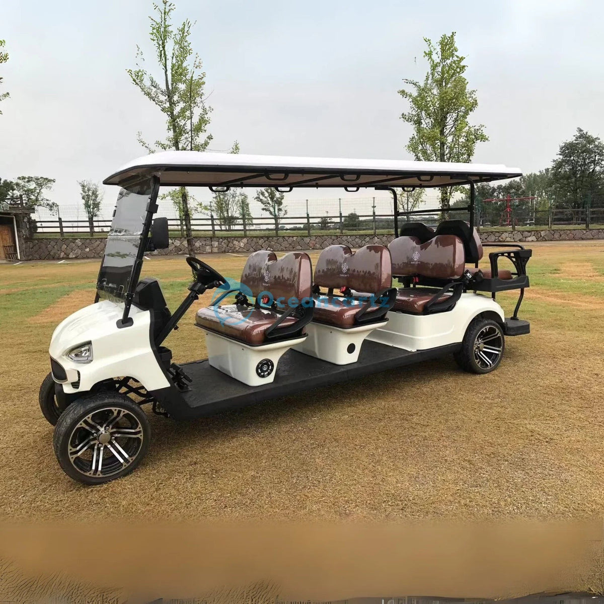 Oceancartz 8-Seater (6+2) On-Road Electric Golf Cart, 48V 5000W Motor, 130Ah Lithium Battery, 12-Inch Alloy Wheels, 215/35-12 Street Tires - Normal Golf Carts - 6+2 Seater - Photo 4 | Oceancartz
