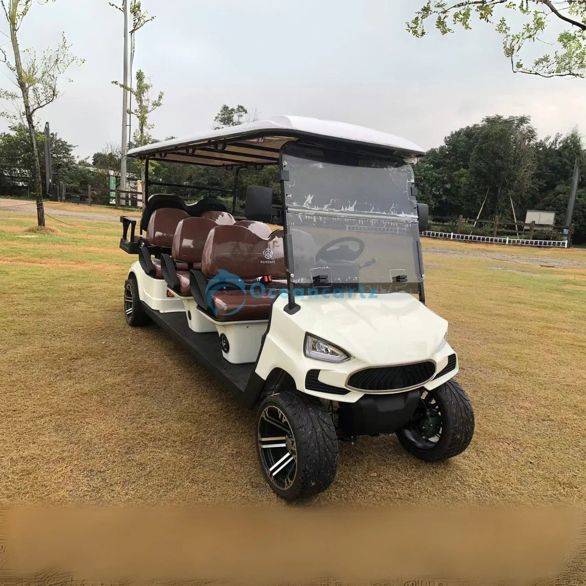 Buy Oceancartz 8-Seater (6+2) On-Road Electric Golf Cart, 48V 5000W Motor, 130Ah Lithium Battery, 12-Inch Alloy Wheels, 215/35-12 Street Tires - Normal Golf Carts - 6+2 Seater at Oceancartz
