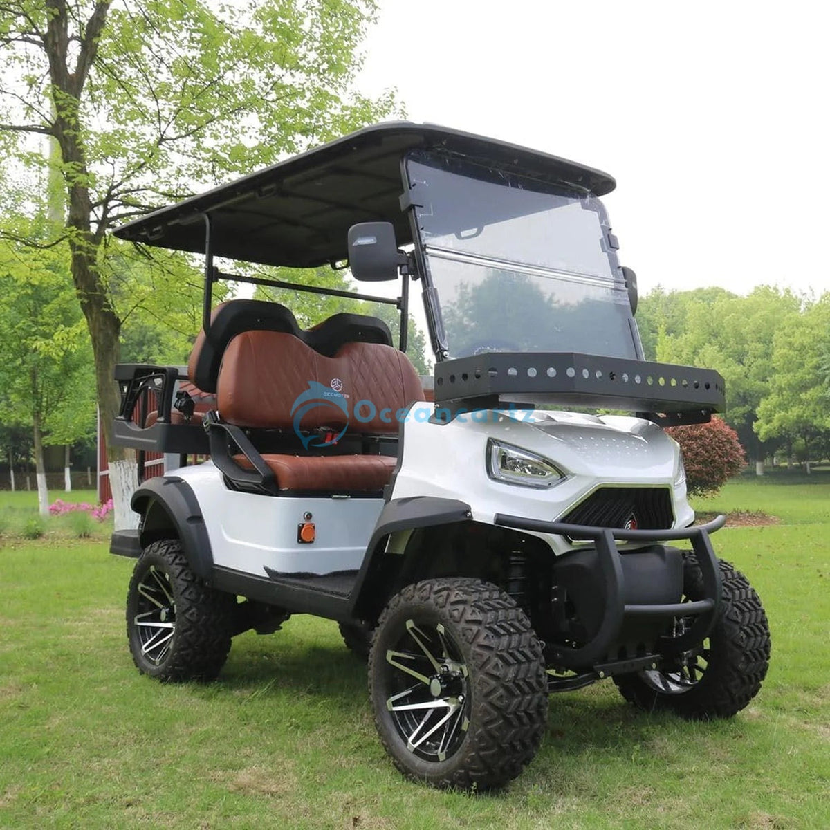 Buy Oceancartz Lifted 4-Seater (2+2) Off-Road Electric Golf Cart, 48V 5000W, 108Ah Lithium, 120km Range, 14" Alloy Wheels, 23/10-14 Tires, 3.5m Turning Radius - Normal Golf Carts - 2+2 Seater at Oceancartz