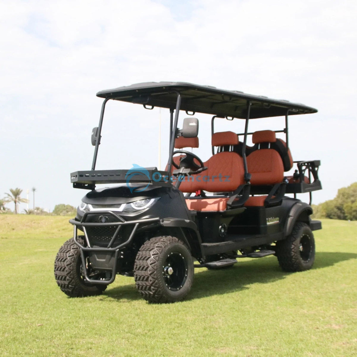 Oceancartz Lifted 6-Seater (4+2) Off-Road Electric Golf Cart, 48V 5000W Motor, 130Ah Lithium Battery, 14-Inch Alloy Rims, 23x10-14 All-Terrain Tires, 100km Range - Normal Golf Carts - 4+2 Seater - Photo 8 | Oceancartz